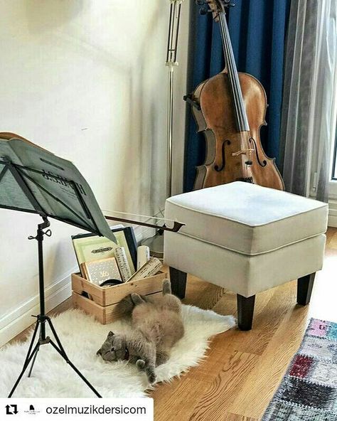 Cello Practice, Teaching Orchestra, Musical Jokes, Violin Practice, Practice Room, Cello Music, Music Studio Room, Music Practice, Music Student