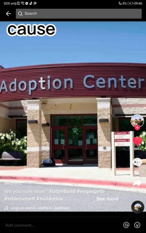 Adoption Center Building, Adoption Center, Really Funny Pictures, Really Funny, My Pictures, Vision Board, Adoption, Funny Pictures, Collage