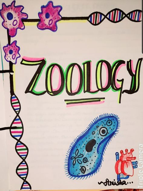 Zoology Cover Page Design, Zoology Front Page Design, Zoology Assignment Front Page, Zoology Project Cover Page Ideas, Zoology Project Ideas, Opportunity Quotes Motivation, Assignment Cover Page Ideas Aesthetic, Heading Design, Project Cover