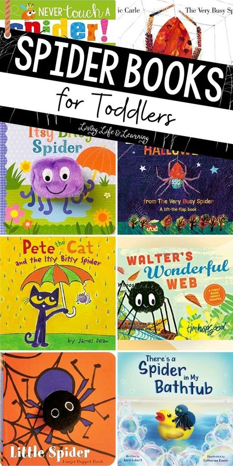 Spider Books for Toddlers Spider Writing, Story Books For Toddlers, Cool Creatures, The Very Busy Spider, Books For Preschoolers, Spider Book, Cycle For Kids, Books For Toddlers, Spider Crafts