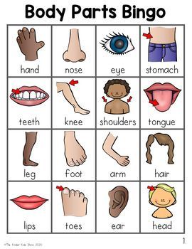 Best 12 Body Parts Bingo Game By The Kinder Kids 7E4 Body Parts Theme, Body Parts Preschool Activities, Body Parts For Kids, Body Preschool, Body Parts Preschool, Bingo For Kids, All About Me Preschool, English Worksheets For Kids, Alphabet Activities Preschool