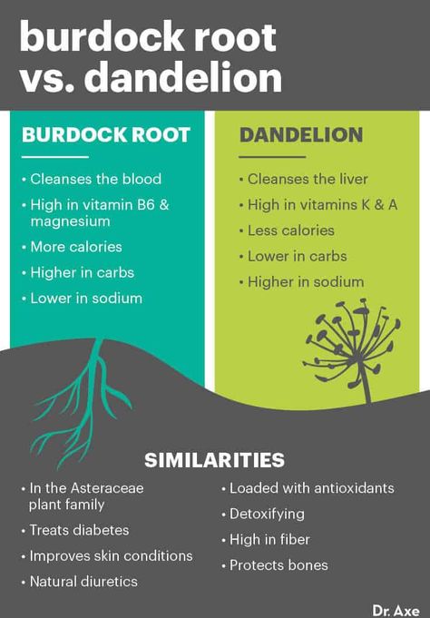 Dandelion And Burdock, Lymph System, Dr Sebi, Burdock Root, Natural Healing Remedies, Special Diet, Natural Therapy, Natural Health Remedies, Healing Herbs