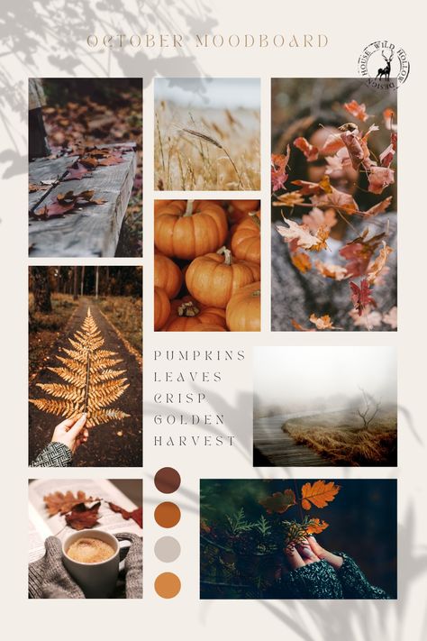 Monthly moodboard for October - create a stunning fall aesthetic with this fall moodboard, with images of pumpkins, autumn leaves and cosy vibes. autumn aesthetic | autumn moodboard | pumpkin spice | fall moodboard ideas Mood Board Photography Ideas, Moodboard Photography Mood Boards, Autumn Moodboard Aesthetic, October Board Ideas, Moodboard Ideas Layout, Autumn Mood Board Aesthetic, October Mood Board, Autumn Mood Board, Halloween Moodboard