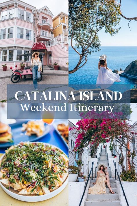 4 images that showcase a perfect weekend itinerary to Catalina island in California Ensenada Cruise, Catalina California, Catalina Island California, Weekend Getaways For Couples, California Travel Guide, East Coast Road Trip, San Diego Travel, Weekend Itinerary, California Travel Road Trips