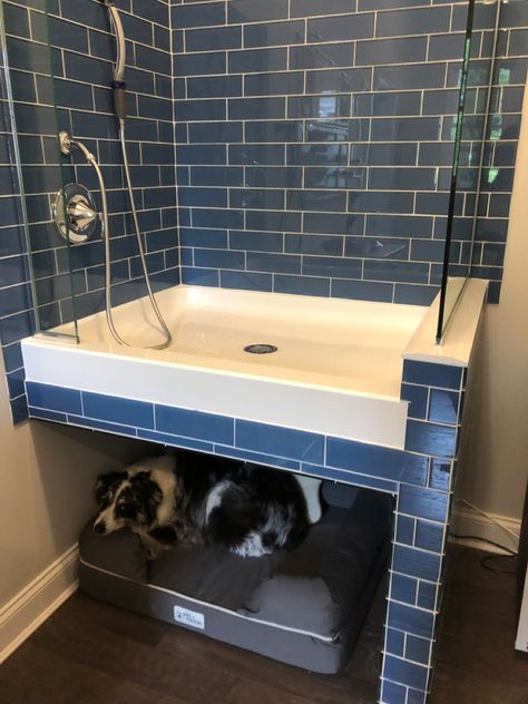 Dog shower with dog bed beneath Convert Shower To Dog Bath, Raised Dog Washing Station, Small Dog Washing Station, Pet Showers Dog Washing Station, Laundry Room Ideas With Dog Bath, Laundry Room With Dog Washing Station, Dog Bath In Laundry Room, Dog Shower Utility Room, Dog Washing Station In Garage