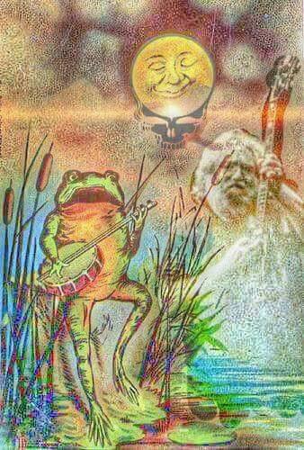 Vintage Mermaid, Frog Art, Good Night Moon, A Frog, Frog And Toad, Beautiful Moon, Grateful Dead, Moon Art, Pics Art