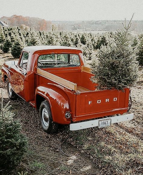 Red Truck Christmas Tree Wallpaper, Little Red Truck Hauling A Christmas Tree, Old Red Ford Truck, Farm Truck Aesthetic, Little Red Truck Christmas Tree, Christmas Farm Aesthetic, Ios 16 Christmas, Tree Farm Aesthetic, Christmas Tree Farm Aesthetic