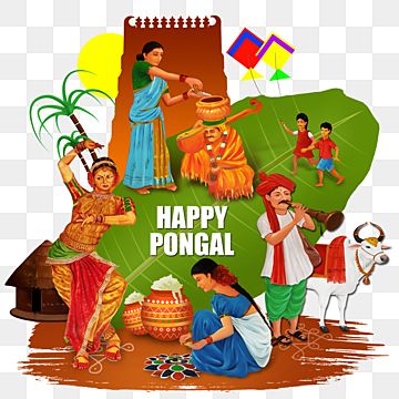 Pongal Illustration, Pongal Photos, Pongal Festival Images, Sankranthi Wishes, Sankranthi Festival, Pongal Images, Pongal Festival, Pongal Celebration, Psd Free Photoshop