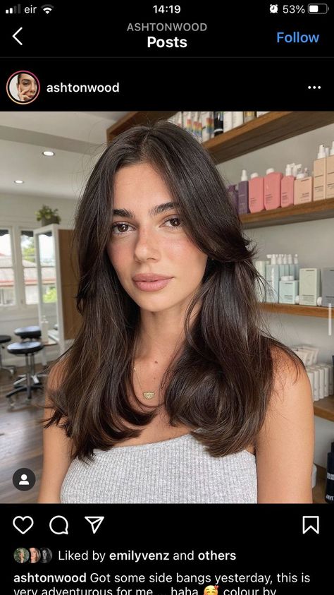 Brown Hair Inspo, Layered Haircuts For Medium Hair, Bangs With Medium Hair, Hairstyles For Layered Hair, Hair Stylies, Haircuts For Medium Hair, Haircuts Straight Hair, Haircuts For Long Hair, Medium Hair Cuts