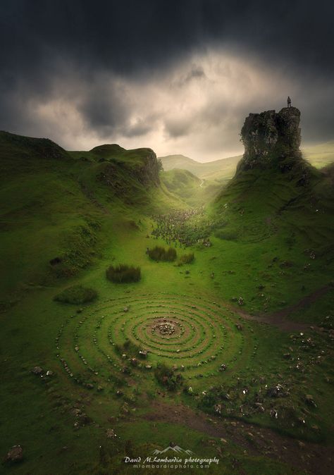 David Martinez, Aberdeenshire Scotland, Celtic Legends, Tree Mushrooms, Eye Photo, Scotland Landscape, Scotland Forever, Scottish Landscape, Landscaping Company