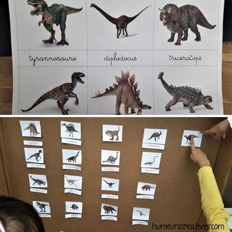 Anniversaire Dinosaure (Jurassic Park) pour les 10 ans d'Ashley - Dino Activities, Fête Jurassic Park, Escape Game, Jurassic World, Jurassic Park, 4th Birthday, Moose Art, Animals