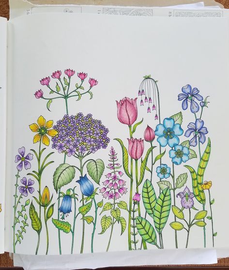 World of Flowers  Johanna Basford Johanna Basford Secret Garden Flowers, Johanna Basford Coloring Book World Of Flowers, Joanna Basford Coloring World Of Flowers, Johanna Basford World Of Flowers Finished Pages, World Of Flowers Coloring Book Finished, World Of Flowers Johanna Basford Finished, Johanna Basford Flowers, World Of Flowers Johanna Basford, Johanna Basford World Of Flowers