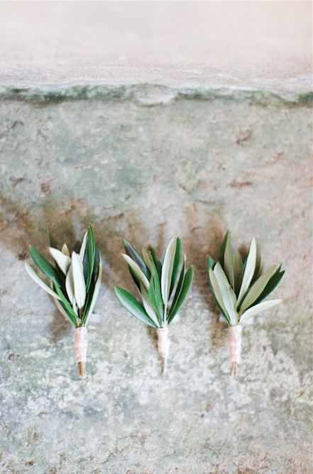 Simple buttonholes for a Tuscan wedding Olive Branch Wedding, Italian Destination Wedding, Buttonhole Flowers, Olive Wedding, Button Holes Wedding, Greek Wedding, Tuscany Wedding, Olive Leaf, Italian Wedding