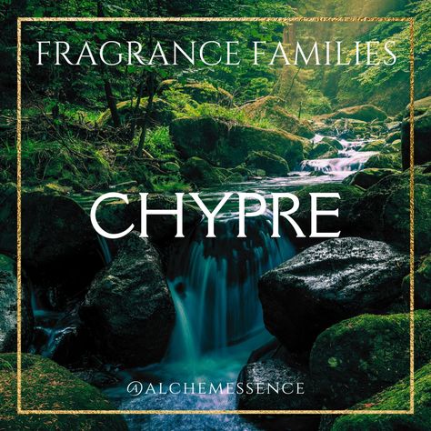 Chypre perfumes are characterized by a mossy accord of bergamot, oakmoss, patchouli, and labdanum. Some may be more floral, with strong notes of jasmine or ylang ylang, while others might be more citrusy, woody, or herbaceous.... Fragrance Families, Citrus Perfume, Woody Perfume, Botanical Perfume, Citrus Fragrance, Bright Florals, Perfume Fragrance, Lemon Verbena, Bitter Orange