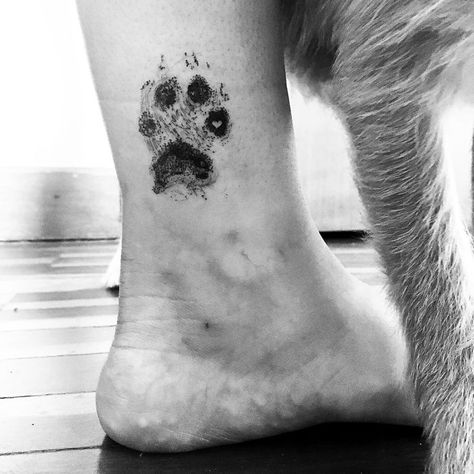 Paw Print Tattoo Placement, Dog Paw Tattoos, Boots Tattoo, Paw Tattoos, Dog Pawprint Tattoo, Rottweiler Tattoo, Tatoo Dog, Pet Tattoos, Greyhound Pictures