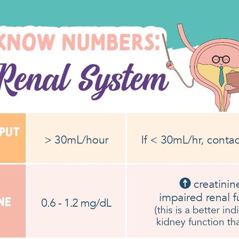 Kristine Tuttle on Instagram: "–Values & Results related to the Renal & Urinary Systems– ⭐As for all labs & must-know numbers, don’t simply memorize! Know what the value means & what an abnormal result indicates! ⭐Urine output is COMMONLY on the NCLEX and it’s something which will be imprinted in your brain as a nurse. Your patient should be putting out at least 30mL/hour – if not, this may indicate fluid volume loss, internal or external bleeding, or other concerning issues. Notify the provid Nclex, Your Brain, Assessment, Brain, Lab, How To Memorize Things, Instagram