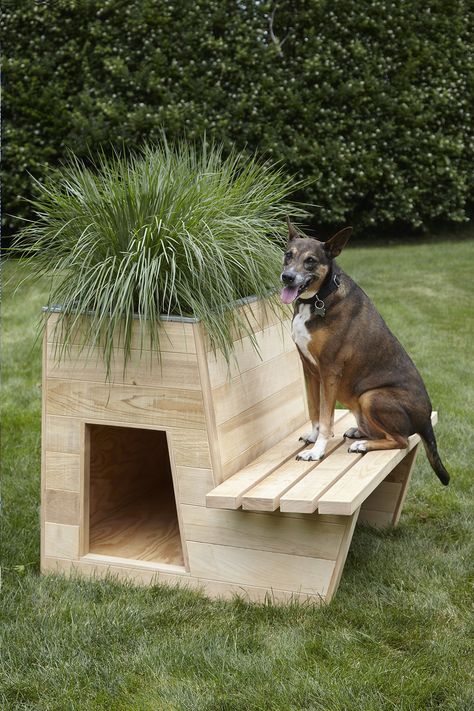 10 Architects Create Stylish Dog Houses—for a Good Cause Photos | Architectural Digest Luxury Dog House, Pallet Dog House, Outdoor Dog House, Dog House Plans, Cool Dog Houses, Dog Yard, Most Beautiful Dogs, Dog House Diy, Psy I Szczenięta