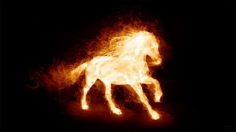 Fire Castle Aesthetic, Fire Queen Aesthetic, Fire Magic Aesthetic, Person On Fire, Fire Astethic, Fireplace Screensaver, Burning Pile, Horse Background, Horse Animation