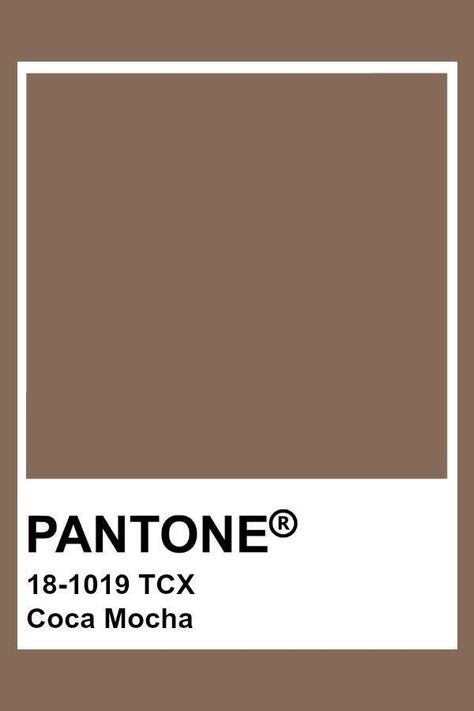 Mocha Brown Color Palette, Pantone Neutral Colors, Mocha Colour Palette, Mocha Color Aesthetic, Pantone Colors Brown, Mocha Pantone, Mocha Brown Aesthetic, Mocha Color Palette, Taupe Pantone