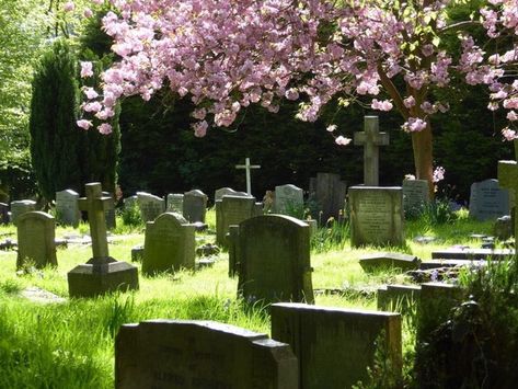 Pretty Graveyard, Cemetery Background, Beautiful Graveyard, Graveyard Aesthetic, Cemetery Headstones, St Giles, Cemetery Flowers, American Gothic, Big Art