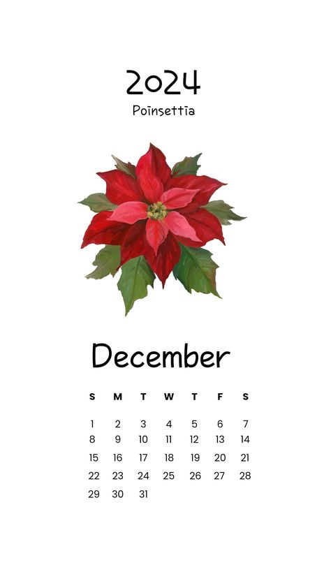 #2024 #calender #2024calender #December #December2024 #Decembercalender #monthlycalender #Poensettia #Christmasflower #Christmasstars #purity #success #goodcheer #celebration  #nationalfloweroftrinidad #nationalfloweroftobago #floralemblemofmadagascar #minimal #aesthetic  #calenderwallpaper #flowers #floral #birthmonthflowers #birthflower #wall calender #trendywallcalender #trendydesign December 2024 Calendar, December Calendar 2024, Flower Of December, March Calendar Wallpaper, Months Wallpaper, Birth Calendar, Dec Calendar, Printable Calender, New Month Wishes