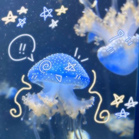 Cool Sea Creatures, Jellyfish Pictures, Piskel Art, Blue Jellyfish, Jellyfish Art, Beautiful Sea Creatures, Ocean Vibes, Aquatic Animals, Pretty Animals