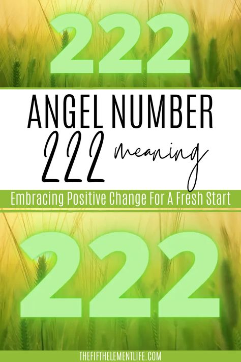 angel number 222 meaning Meaning Of 222 Angel Numbers, Meaning Of 222, Number 222 Meaning, 222 Meaning, Nurturing Relationships, Angel Number 222, Angel Signs, Manifesting Dreams, Open Your Heart