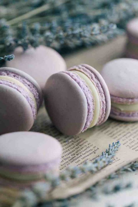 Lavender Macaron, Lavender Macarons, Lavender Uses, Ganache Filling, Chocolate Ganache Filling, Macaron Tower, Lavender Recipes, Parchment Paper Baking, Color Lavanda