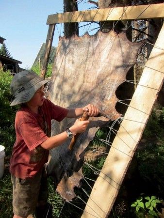 Tanning Hides, Deer Hide, Animal Hide, Homestead Survival, New England