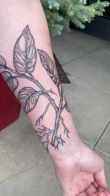 Monstera Obliqua Tattoo, Plant Propagation Tattoo, Adansonii Tattoo, Monstera Adansonii Tattoo, Propagation Tattoo, Geology Tattoo, Tropisches Tattoo, Monstera Tattoo, Plant Tattoos