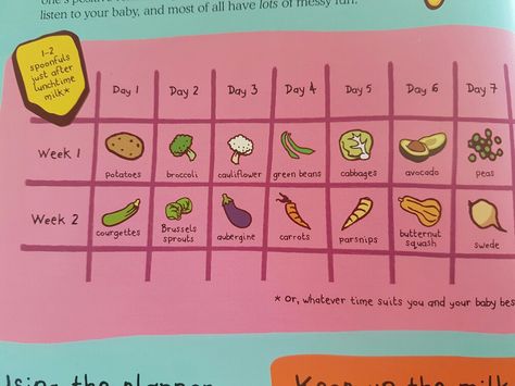 Ellas kitchen first tastes Ellas Kitchen Recipes, Ellas Kitchen, Weaning Foods, Baby Meals, Baby & Toddler Food, Baby Weaning, Broccoli Cauliflower, Toddler Food, Led Weaning