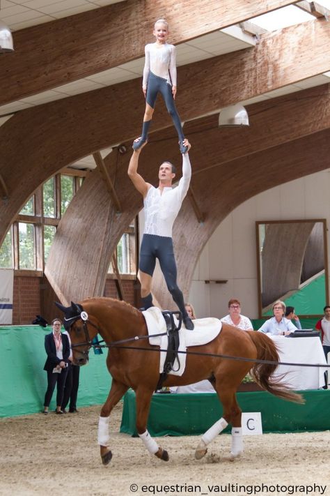 Team Fredenbeck is one of the top teams in Germany and internationally at the moment. They won the squad competition at CHIO Aachen 2019 and CHIO Aachen 2018 and are the current German champions to be challenged next weekend at the German Championship 2019 in Alsfeld. Read on to get to know the team and the formula for their success! Equestrian Vaulting, Vaulting Equestrian, Horse Vaulting, Coming Soon Landing Page, Wild Stallion, Trick Riding, Equestrian Aesthetic, Equestrian Sports, Horse Photos