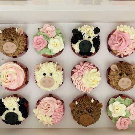 Cow Face Cupcakes, Pink Farm Cupcakes, Longhorn Cow Cupcakes, Hiland Cow Cupcakes, Rodeo Themed 1st Birthday Cupcakes, Pink Cow Cupcakes, Cow Decorated Cupcakes, Highlander Cow Cupcakes, First Rodeo Birthday Cupcakes