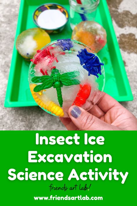 Preschool Insect Activities, Preschool Insects Activities, Science Activity For Kids, Origami Paper Flowers, Bug Activities, Insects Preschool, Science For Toddlers, Bugs Preschool, Insect Activities