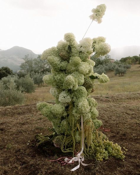 Ceremony Installation, Plant Installation, Luxury Wedding Decor, Grass Wedding, Flower Installation, Floral Backdrop, Floral Studio, Garden Party Wedding, Beautiful Flower Arrangements