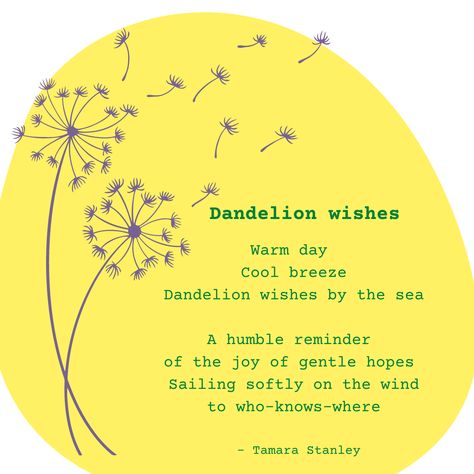 Poetry, Dandelion wishes Dandelion Poetry, Dandelion Wishes, Dandelion Wish, Dandelion, Poetry