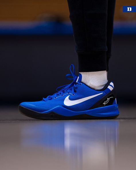 (2) Duke Women’s Basketball on X: "Kobe 8 Duke PEs 💙🐍 https://t.co/DXpCci5MkB" / X Kobe Shoes Basketball, Basketball Shoes Kobe, Bball Shoes, Hoop Shoes, Lifestyle Posing, Kobe 5, 5k Wallpaper, Kobe 8, Kobe 9