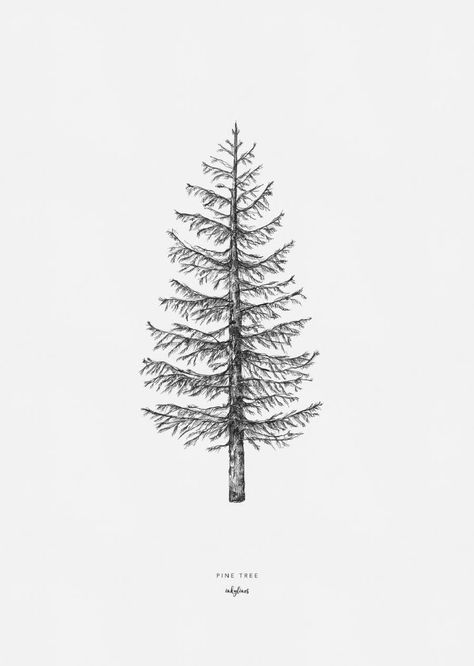 Winter Tree Drawing, Tree Tattoo Drawings, Pine Tattoo, Tree Drawing Simple, Pine Tree Drawing, Tree Tattoo Small, Christmas Tree Drawing, Tree Drawings Pencil, Pine Tree Tattoo