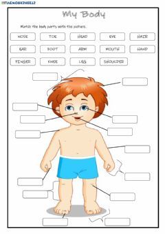 My Body Language: English Grade/level: Grade 2 School subject: English as a Second Language (ESL) Main content: Body Parts Other contents: Body Parts Worksheet, Anatomy Body Parts, Body Parts For Kids, Human Body Worksheets, Body Parts Preschool, English Activities For Kids, English Exercises, Environmental Studies, Human Body Parts