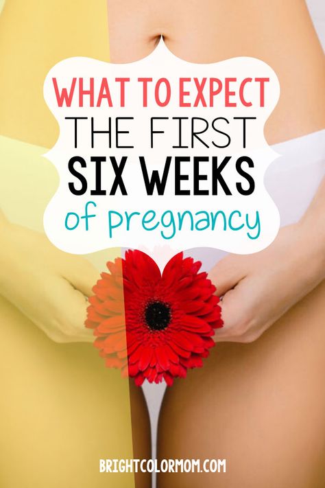 Find out what happens the first 6 weeks of pregnancy! Check off your first trimester symptoms (even before missed period), see baby's size right now, and see when your tiny baby bump will show with progress photos. There's video of what's happening inside each week and tips for a healthy pregnancy. Read extra info for overweight, plus size, and high risk pregnancy too! Pin this to your pregnancy board so you don't lose it! #pregnancy #pregnancysymptoms #baby #firsttrimester #pregnancytips 6 Weeks Pregnant Symptoms, Week 5 Pregnancy, Baby At 4 Weeks, First Trimester Symptoms, Baby Size By Week, 4 Weeks Pregnant, Finding Out Your Pregnant, First Week Of Pregnancy, 6 Weeks Pregnant