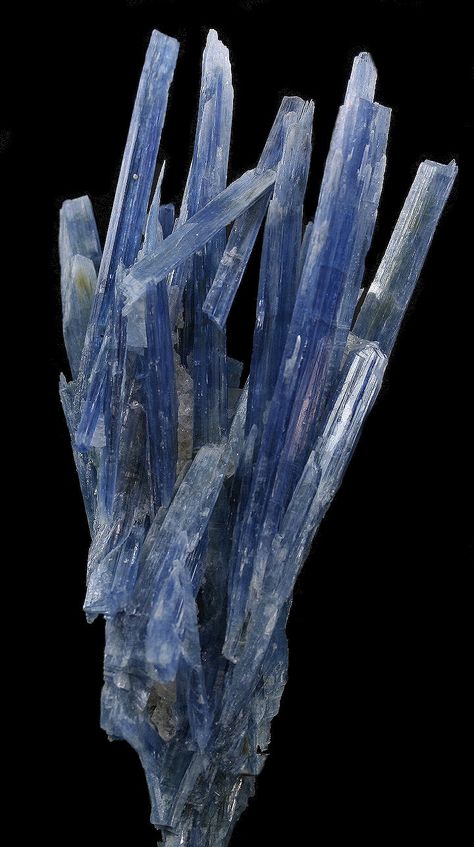 Minerals Crystals Rocks, The Crystals, Kyanite Crystal, Geology Rocks, Blue Tourmaline, Beautiful Rocks, An Aesthetic, Rock Collection, Mineral Stone