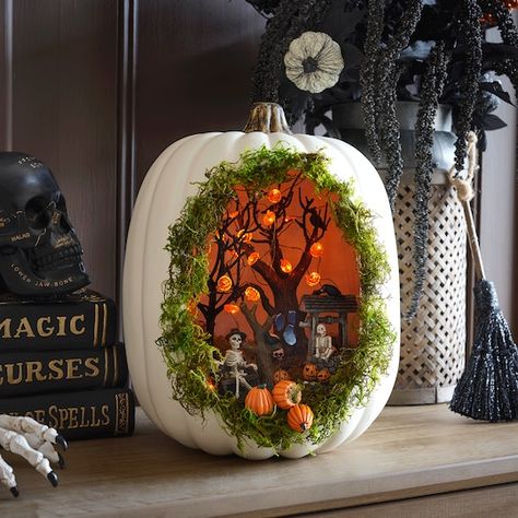 Pumpkin Diorama, Halloween Diorama, Pumpkin Decorating Contest, Hallowen Ideas, Pumpkin Contest, Halloween Crafts Decorations, Halloween Pumpkins Carvings, Pumpkin Halloween Decorations, Halloween Diy Crafts