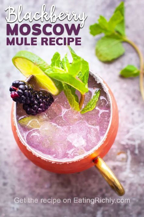 Blackberry Mule, Blackberry Moscow Mule, Moscow Mule Recipe Classic, Vodka Recipes Drinks, Moscow Mule Recipe, Mule Cocktail, Mule Recipe, Vodka Recipes, Summer Cocktail Recipes