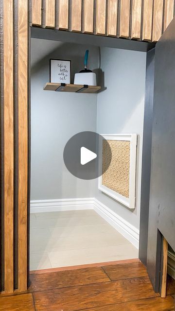 Kristy Letterly | DIY + Home + Design on Instagram: "This was probably my biggest project so far!  Remember when I cut into the wall under my stairs to build a cat closet?  Here’s a recap of the whole project!  I am still loving it and so are the cats!  #catcloset #stairstorage #diyprojects" Closet Pet Room, Cat Closet Room Ideas, Cat Litter Box Room Ideas, Ideas For Under Basement Stairs, Under Stair Cat House, Wall For Cats Diy Projects, Under Stairs Closet Cat Room, Hidden Space Under Stairs, Cat House Under The Stairs