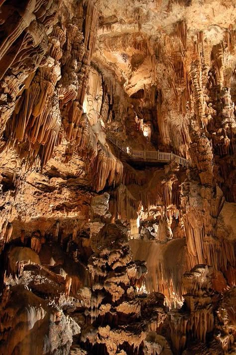 Luray Caverns, Misty Dawn, Underground Caves, The Grotto, Natural Cave, Cave House, Natural Structures, Fantasy Places, Beautiful Places Nature