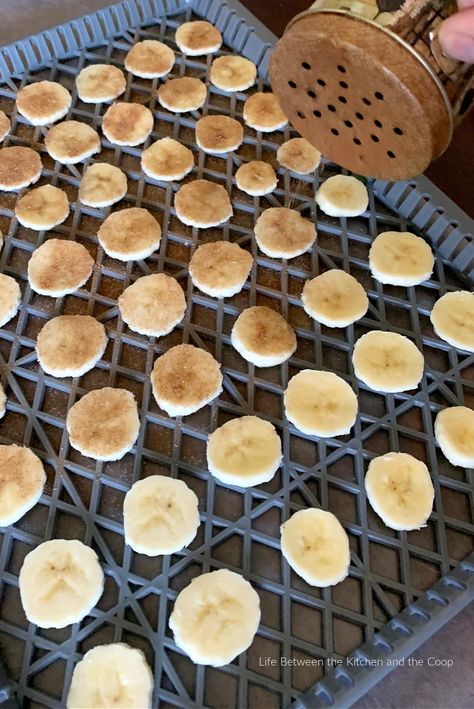 How to Dehydrate Banana Chips with Cinnamon and Sugar Dehydrate Bananas In Dehydrator, Banana Chips Dehydrator, How To Dehydrate Bananas, Dehydrator Ideas, Dehydrated Banana Chips, Dehydrator Recipes Fruit, Banana Chips Recipe, Dehydrated Recipes, Chip Seasoning