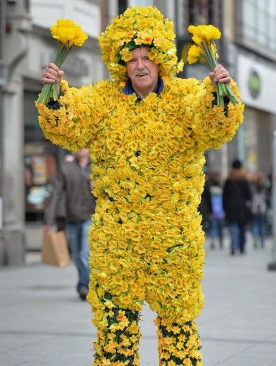 daff-man-in-dublin-Daffodil Day 3/28/14 Daffodil Day, Guerrilla Gardening, Hay Fever, Picture Editor, Daffodil Flower, Too Soon, Welcome Spring, Raise Money, S Pic