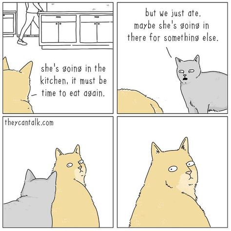 Relationship Comics, Talking Animals, Cartoon Artist, Cat Humor, Funny Illustration, Cat Quotes, Funny Cat Memes, Cat Stuff, Cute Comics