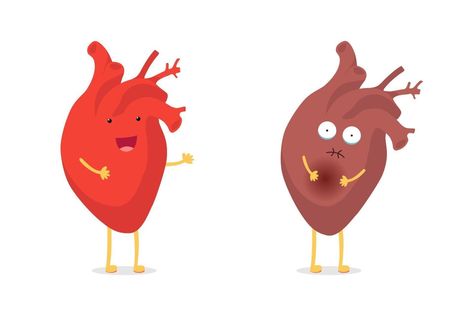 Sad sick unhealthy vs healthy strong happy smiling cute heart character. Medical anatomic funny cartoon human internal organ. Vector flat eps illustration Heart Character, Heart Organ, Cartoon Human, Human Heart, Cute Heart, Funny Cartoon, Vector Photo, Cardio, Anatomy