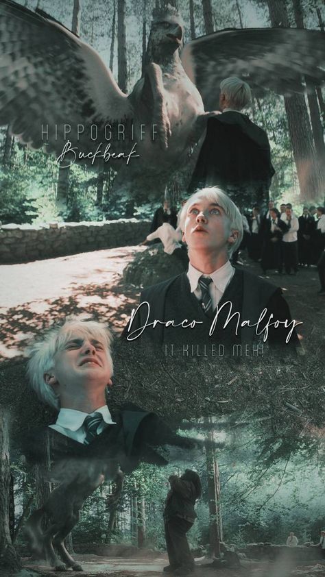 Draco Malfoy Wallpaper, Meme Harry Potter, Drako Malfoy, Film Harry Potter, Citate Harry Potter, Draco Malfoy Hot, Draco Malfoy Imagines, Tapeta Harry Potter, Harry Potter Background